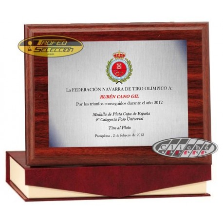 PLACA DE HOMENAJE PERSONALIZADA A COLOR. 3 T.